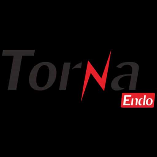 TORNA logo