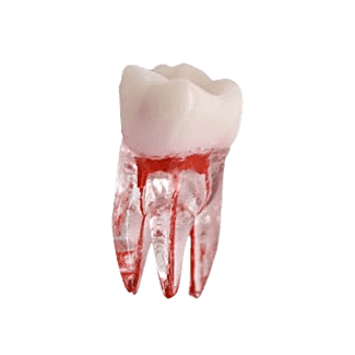 Category image: 