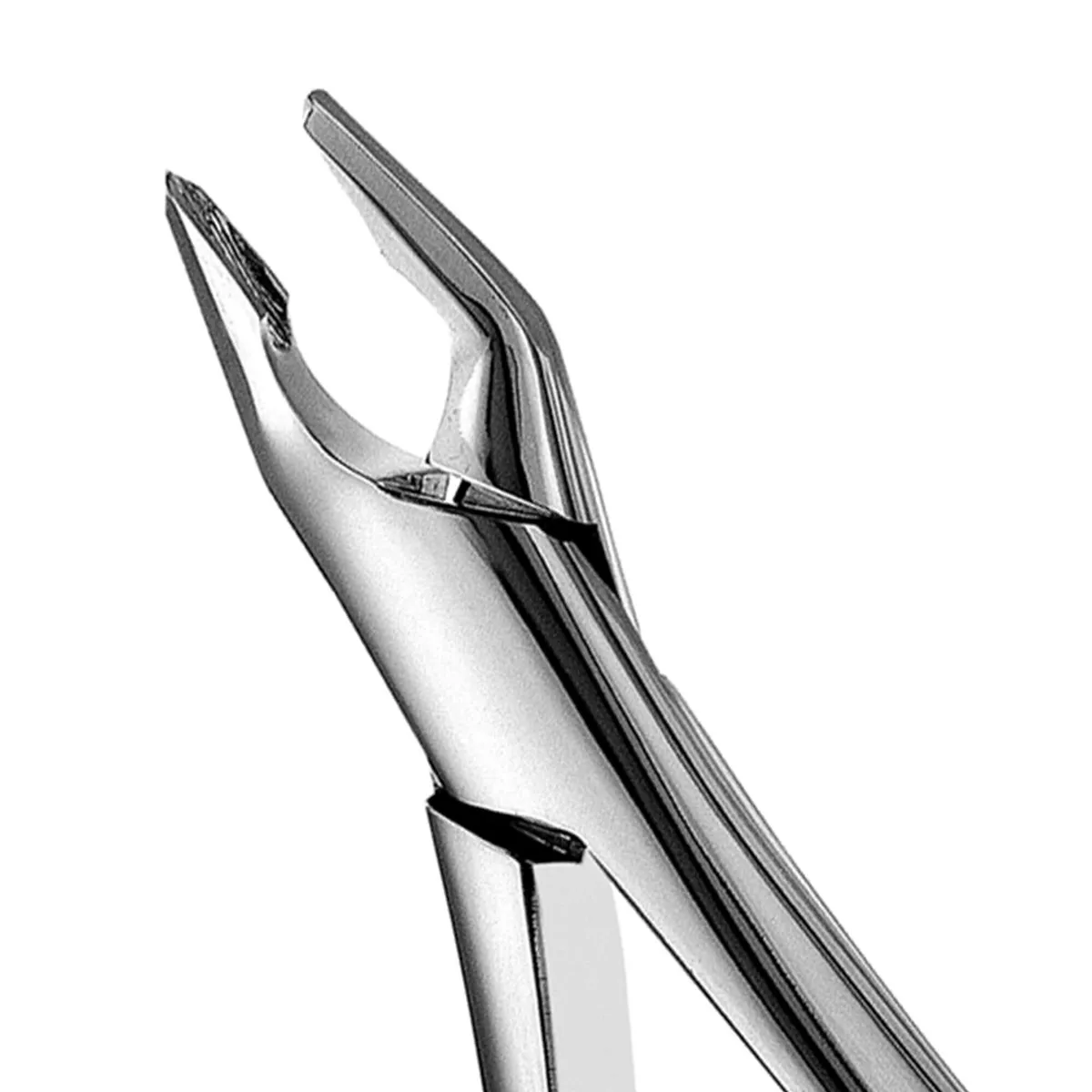 Apical Forceps #150