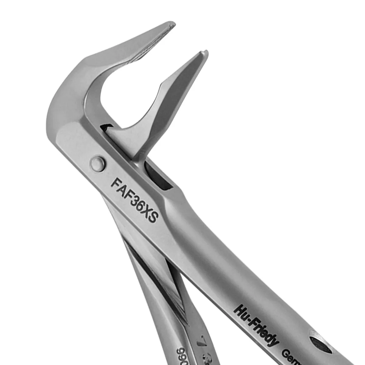 Apical Forceps, Lower Premolars, Canines and Incisors, Atraumair #36