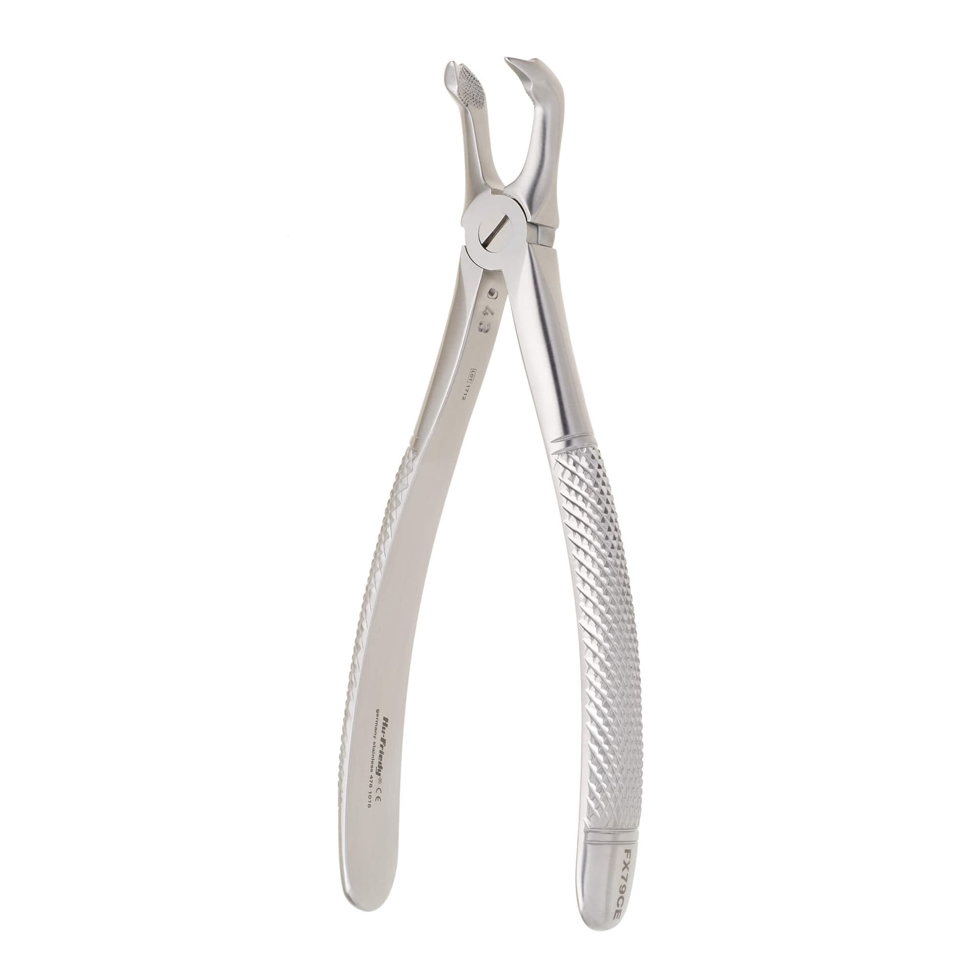 European Pedo Forceps #79C