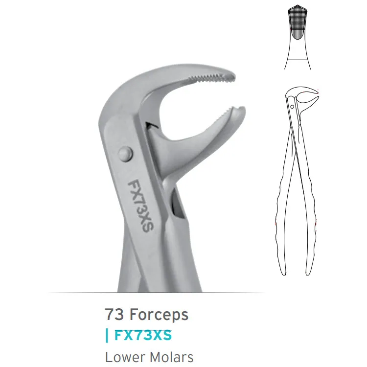 Lower Molars Forceps #73 Atraumair