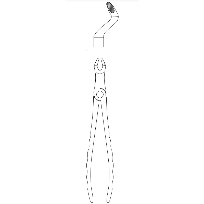 Upper Wisdom Extraction Forceps #67 Atraumair