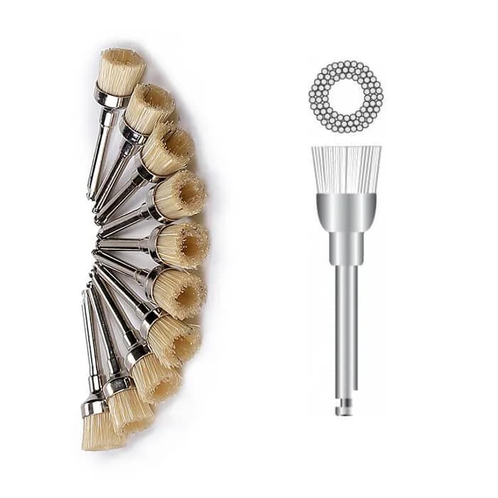 Prophy Brush, Natural Bristles, Big Bowel, Latch Type (RA)