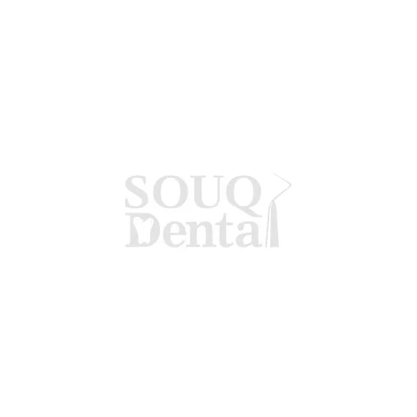 PE-ANA005 - Transparent Jaw Model with Teeth