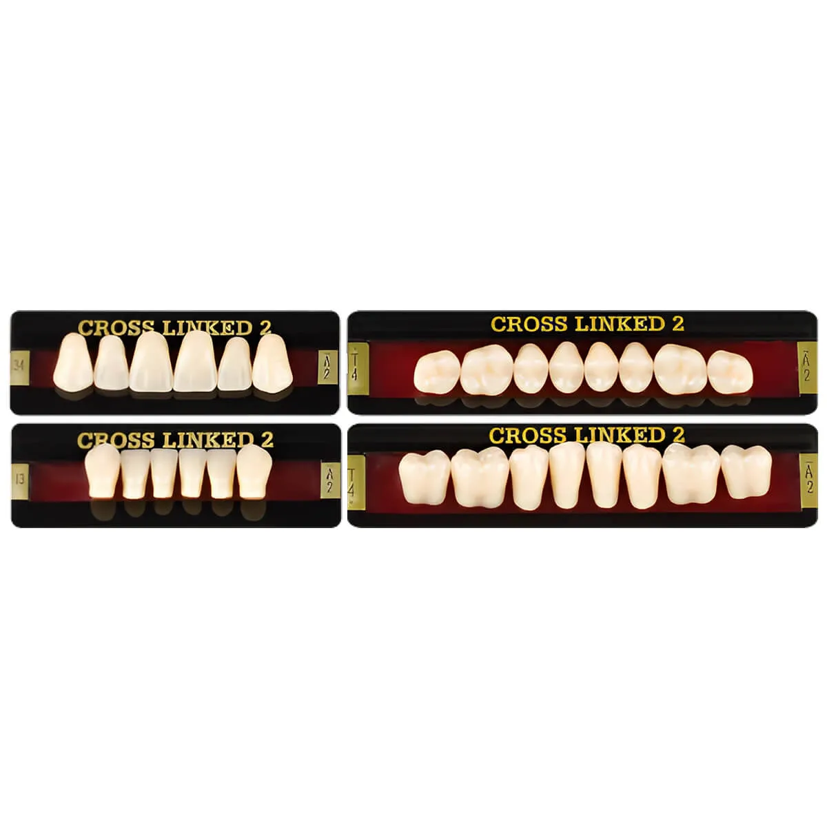 Cross Linked 2 Acrylic Teeth, A3.5 - M